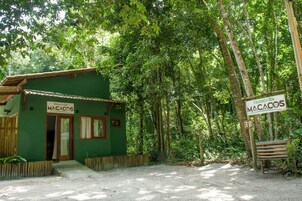 Um pequeno edifício verde com a inscrição 'MACACOS', com um caminho de terra que leva até ele, rodeado por uma floresta densa.