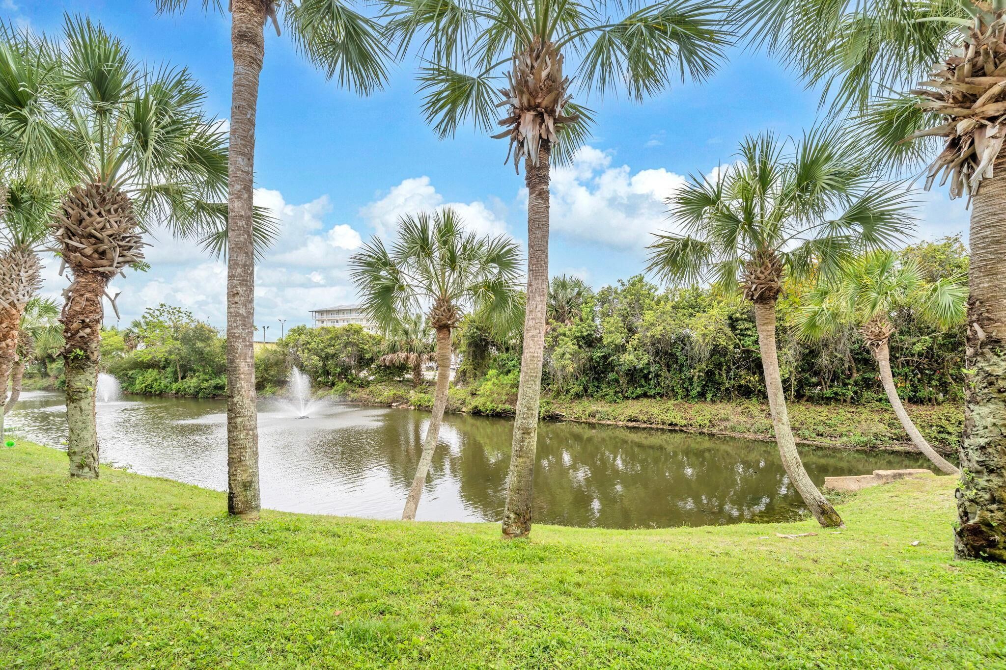 A serene outdoor area with palm trees, a pond, and a clear sky.