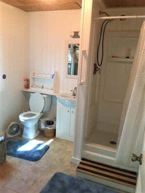 Shower - Lazy Days | Walk to Torch Lake | Pet Friendly (Rapid City)