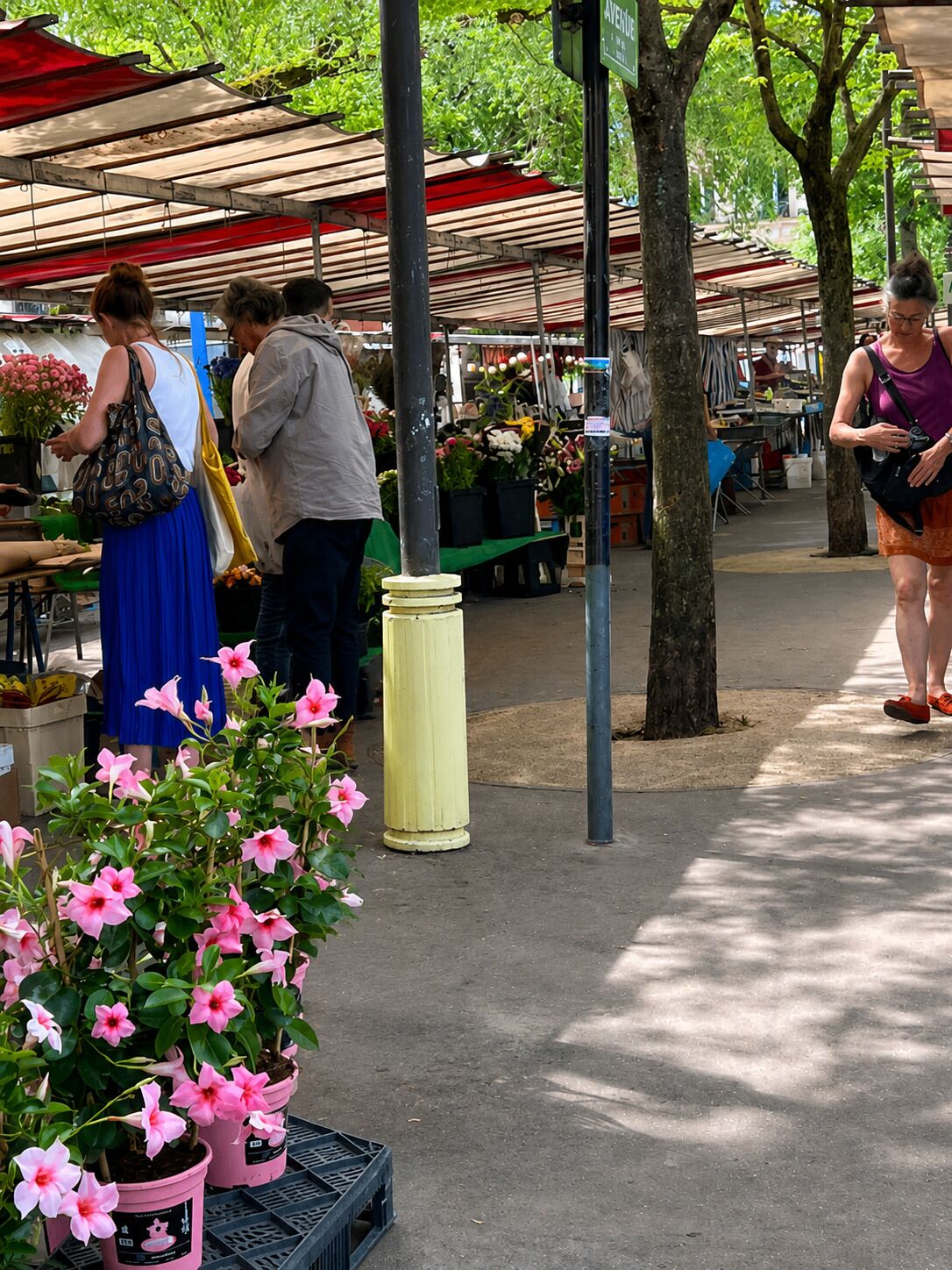 An outdoor market with people shopping, covered stalls, and potted plants.
