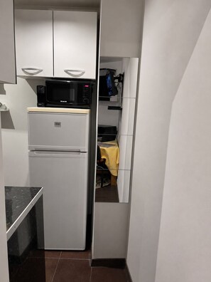 A compact kitchen with a white refrigerator, a microwave, and a small sink. - Charming and comfortable studio - Paris 14 (Paris)