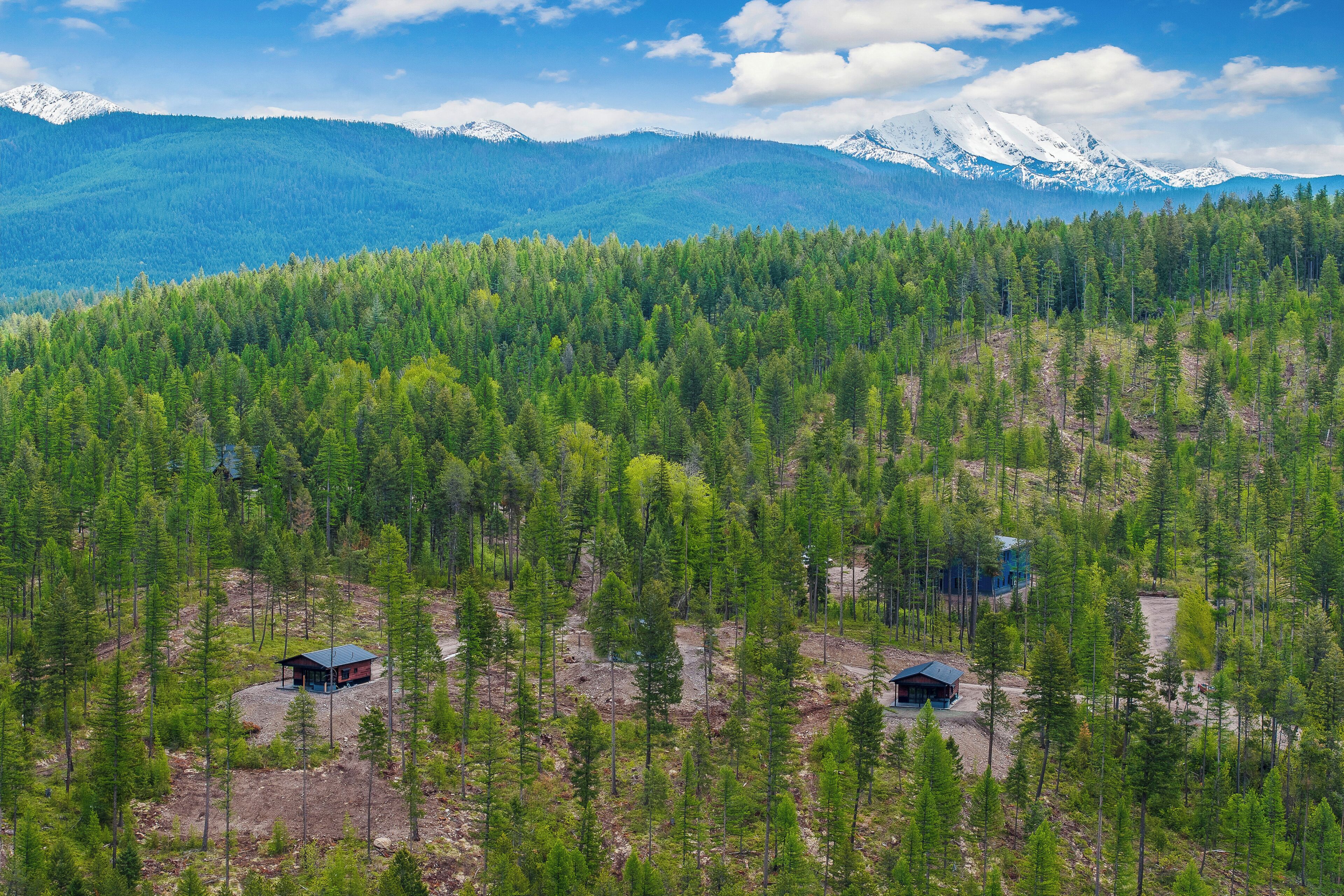 A forested area with two cabins and a mountain range in the background.