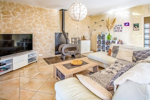 A living room with a stone wall, a fireplace, a TV, a sofa, and a bookshelf.