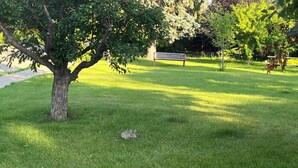 A grassy area with a tree and a bench. - Enjoyable 2-bedroom Max 4 guests in lower level with AC in vibrant inner-city (Calgary)