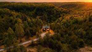 Una cabaña rodeada de un denso bosque, con un sendero despejado que conduce hacia ella.