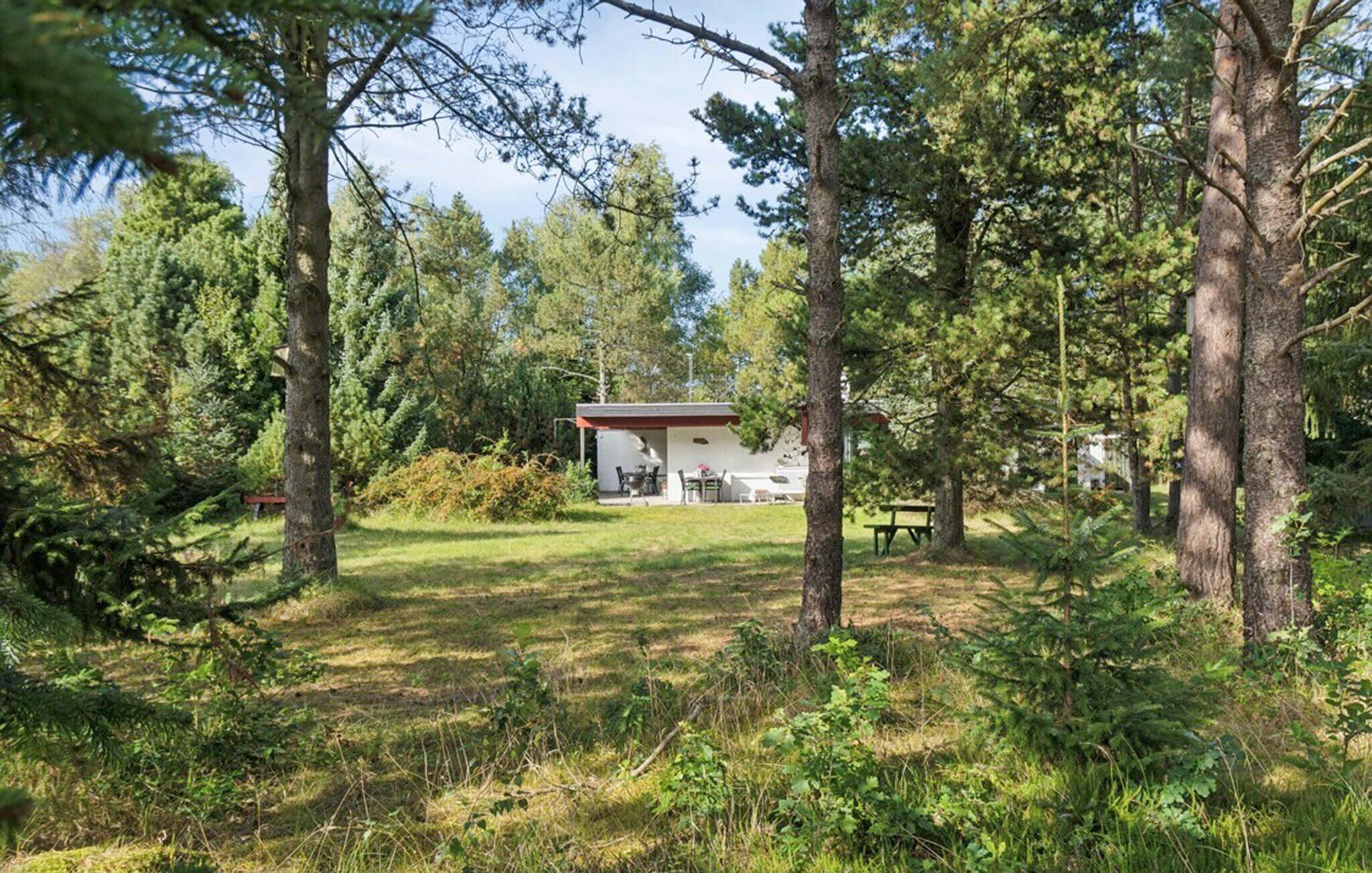 A cabin with a patio, surrounded by dense forest.