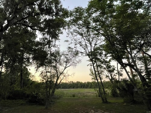 Retired Disney cabin in silver springs