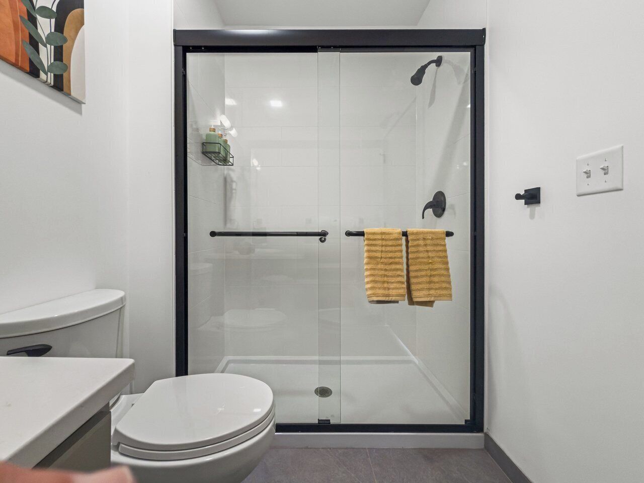 Hårtørrer, håndklæder, Sæbe, Toiletpapir