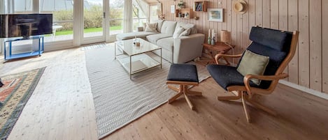 Smart-TV, Kamin