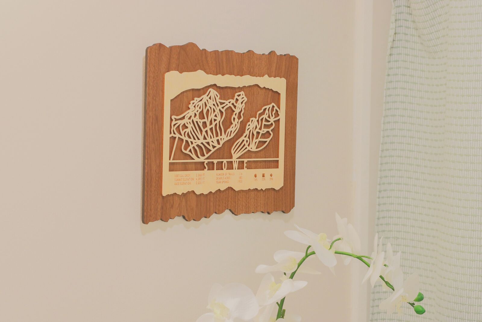 Une décoration murale en bois représentant une carte et un texte, un arrangement floral blanc et un rideau à motifs.