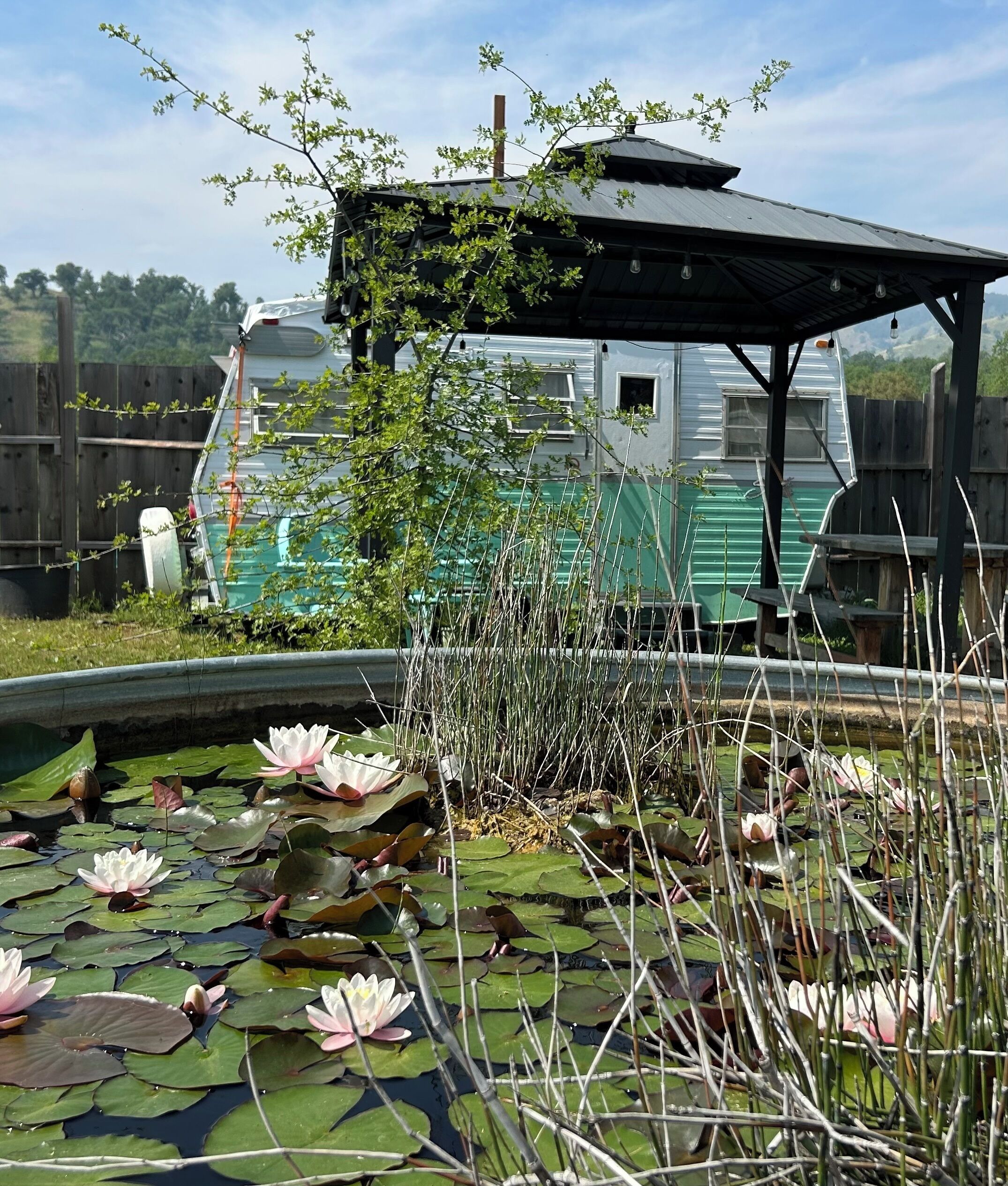 Enceinte de l’hébergement