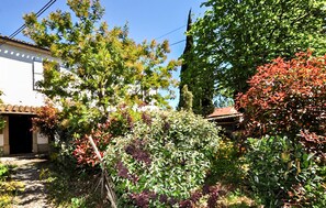 Ein Garten mit verschiedenen Pflanzen und Bäumen, ein Gebäude mit Ziegeldach und ein klarer, blauer Himmel.