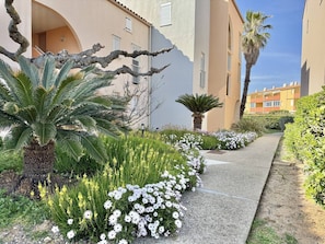 A pathway lined with white flowers and greenery, leading to a building with a curved archway and a palm tree. - CAP D'AGDE - Plage Richelieu / Réf 0304 (CAP D'AGDE)