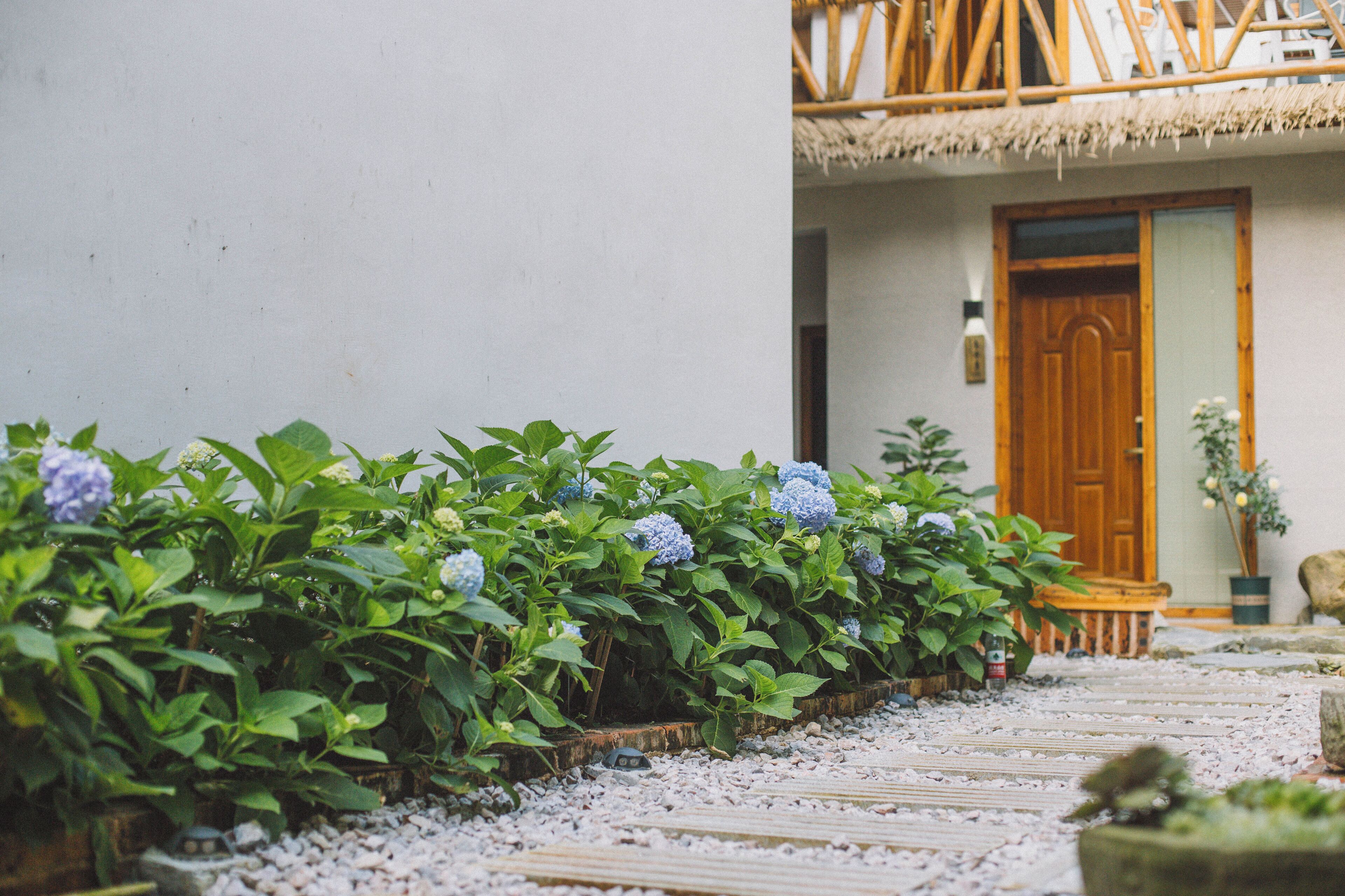 Habitació doble Comfort | Vista des de l'habitació