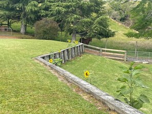 Uma área gramada com cerca de madeira, um cavalo e uma árvore.