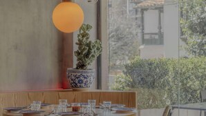 Un coin repas avec une table dressée pour quatre personnes, une plante en pot et un luminaire suspendu.