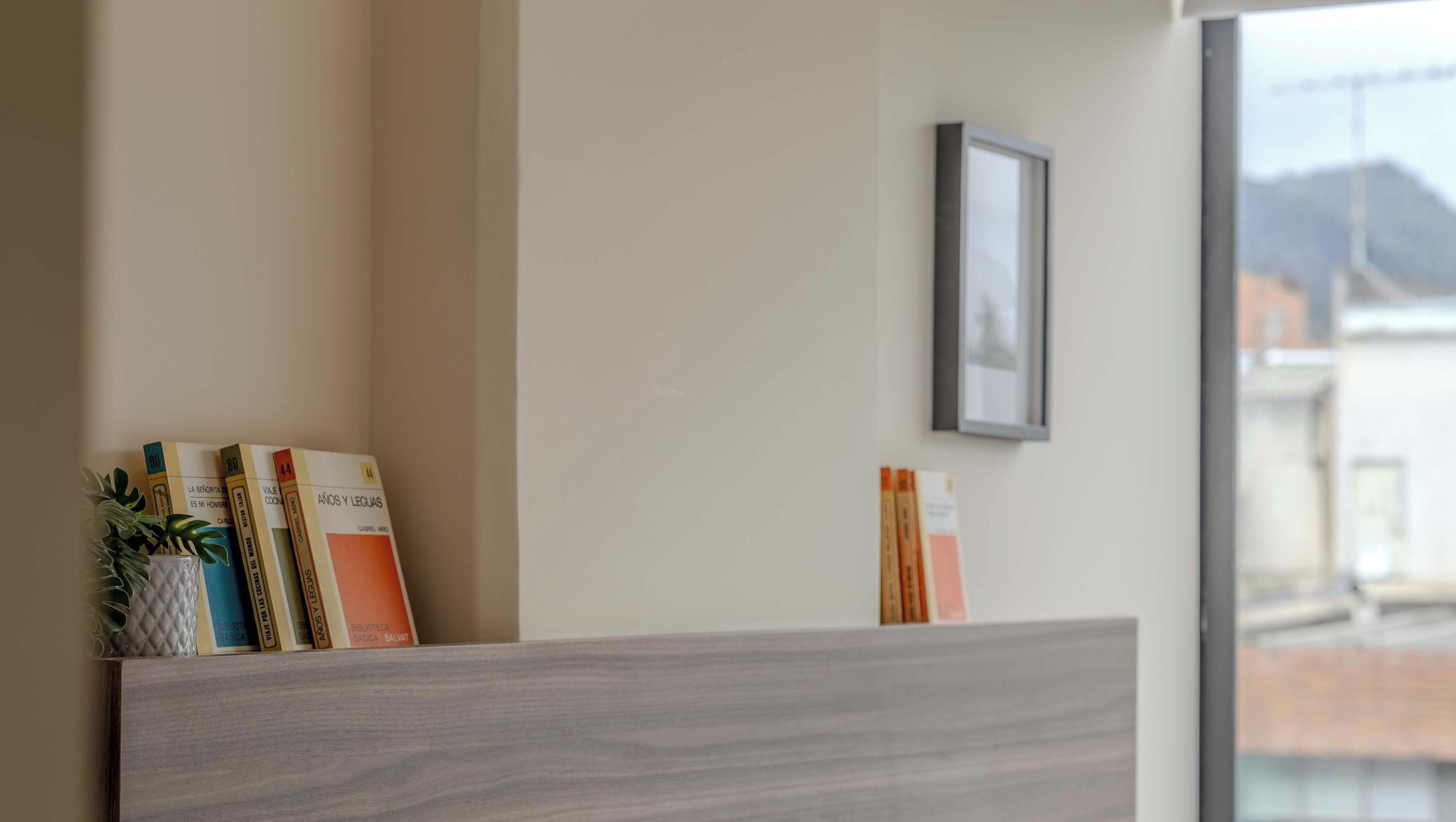 Una habitación con un escritorio de madera, una planta en maceta y libros en la pared.