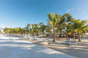 Ein Strand mit weißen Liegestühlen und Palmen.