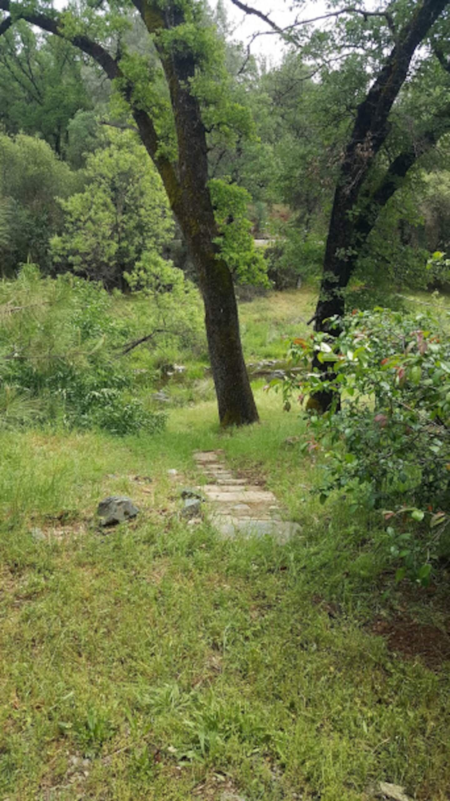 Terrain de l’hébergement 
