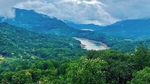 Un paisaje exuberante de color verde con un río, montañas y vegetación densa.
