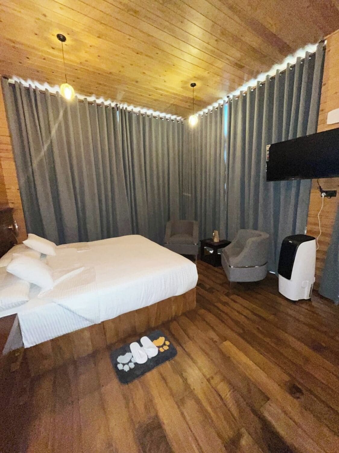 A hotel room with a wooden ceiling, a bed with pillows, a chair, a small table, a TV, and a pet bed.