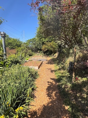 Ein Gartenweg mit Pflanzen und einer hölzernen Struktur.