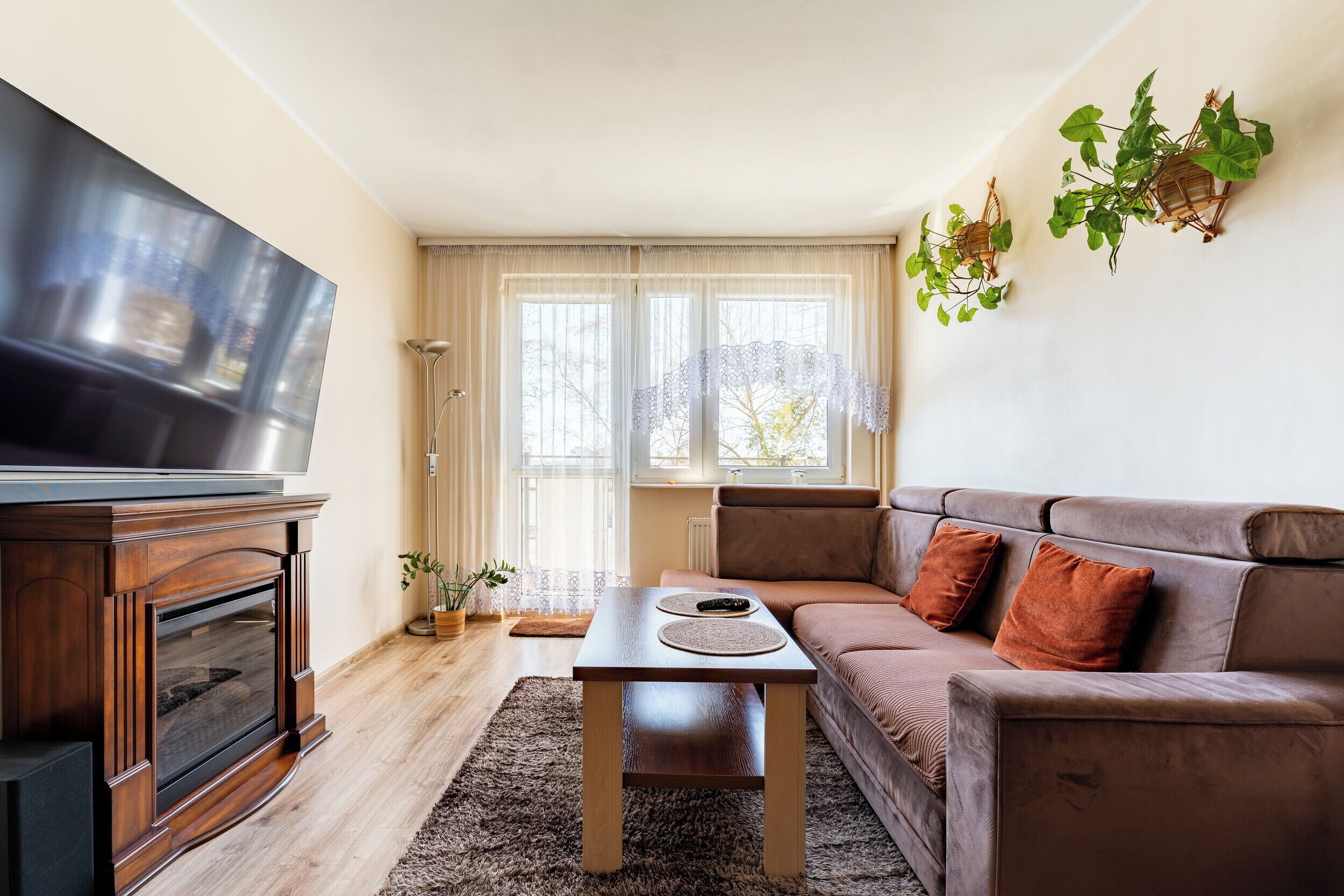 TV