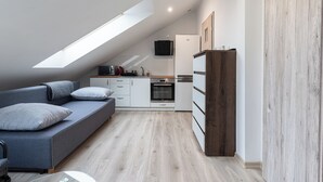 Ein modernes Schlafzimmer im Loft-Stil mit Dachfenster, einer Couch, einem Couchtisch und einer Küchenzeile.