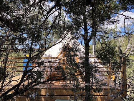 Property grounds. Tuktu Ranch - Serenity Yurt - Glamping Experience