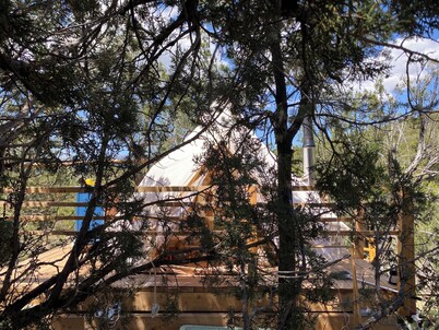 Tuktu Ranch - Serenity Yurt - Glamping Experience