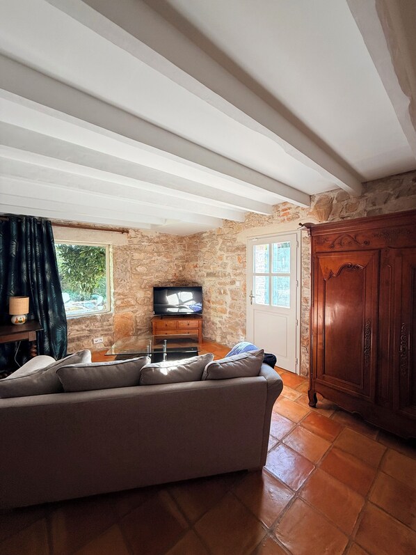 Smart TV, books