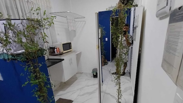 A room with a white tiled floor, a microwave on a counter, a blue curtain, and a mirror with a plant. - Cozy apartment in Interlagos (São Paulo)