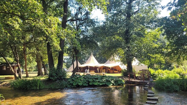 Ein Campingplatz mit Zelten, einer kleinen Brücke über einem Bach und umgebender Vegetation.