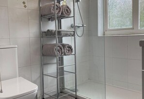 Shower, hair dryer, towels