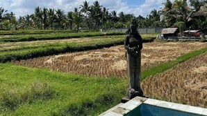 Khuôn viên nơi lưu trú