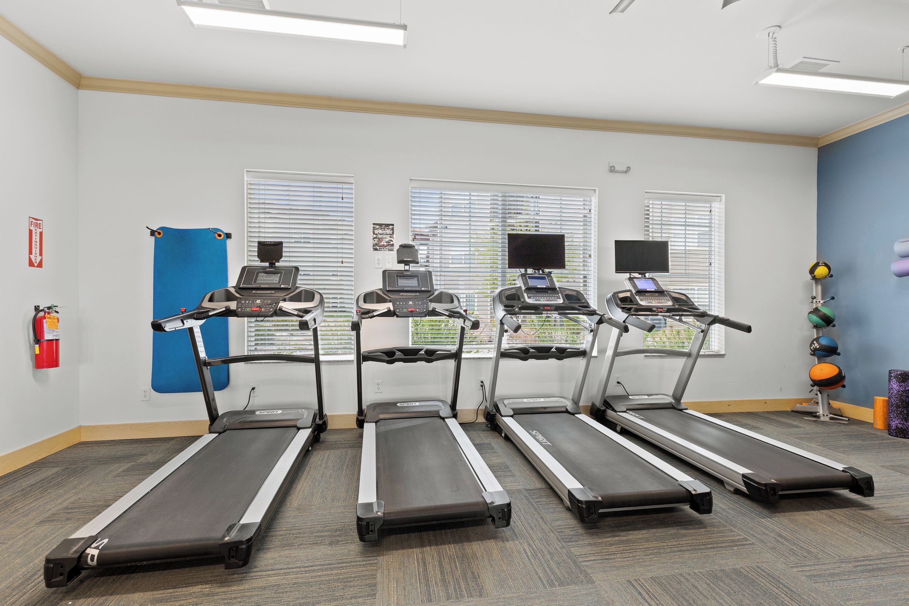A fitness room with treadmills, a fire extinguisher, and exercise balls.