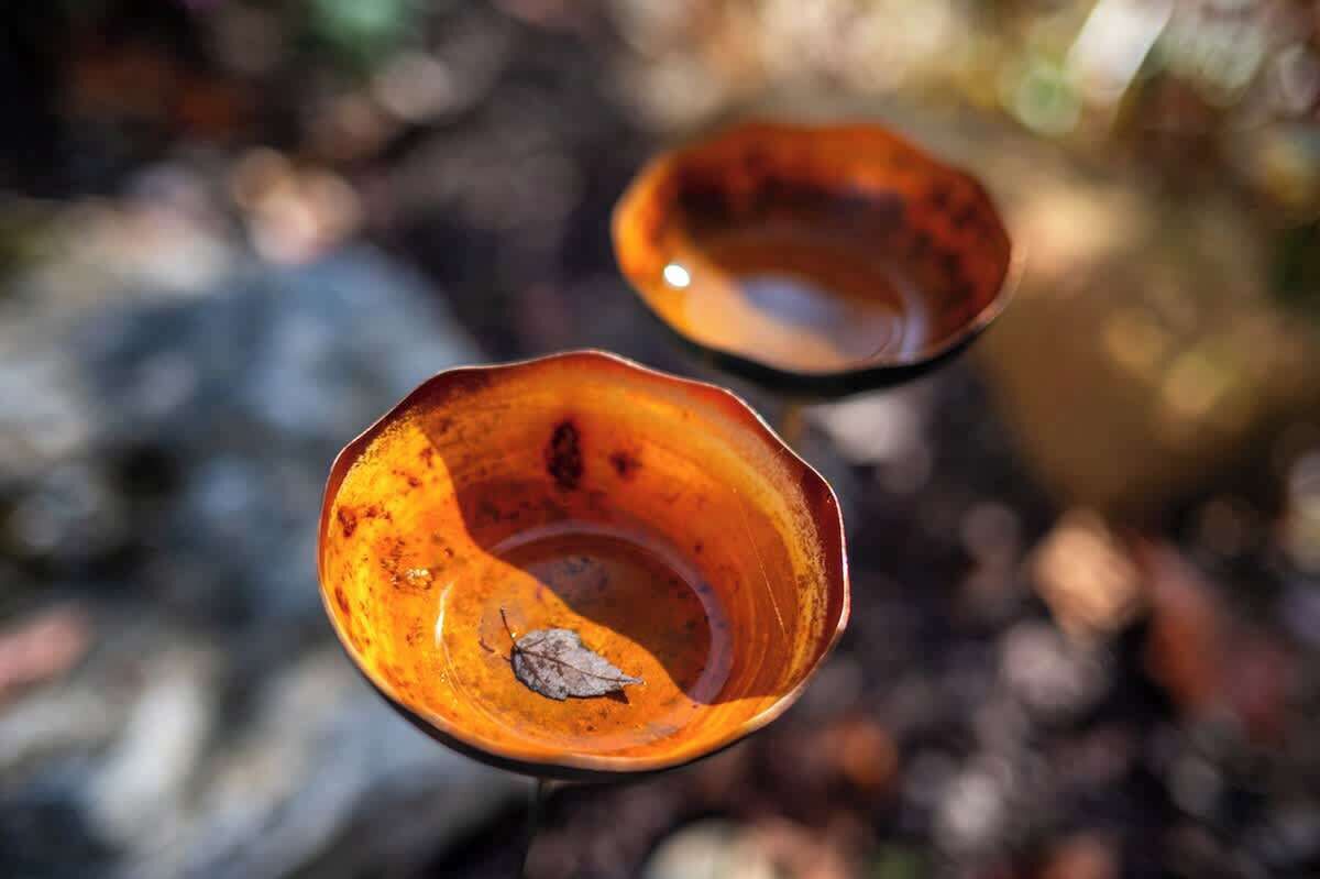 Two ceramic bowls with a leaf inside, placed outdoors.