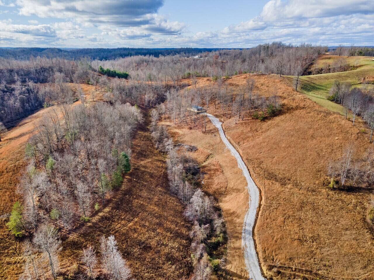 Une vue aérienne d’un paysage rural, avec un chemin de terre sinueux bordé d’arbres et entouré de champs ouverts.