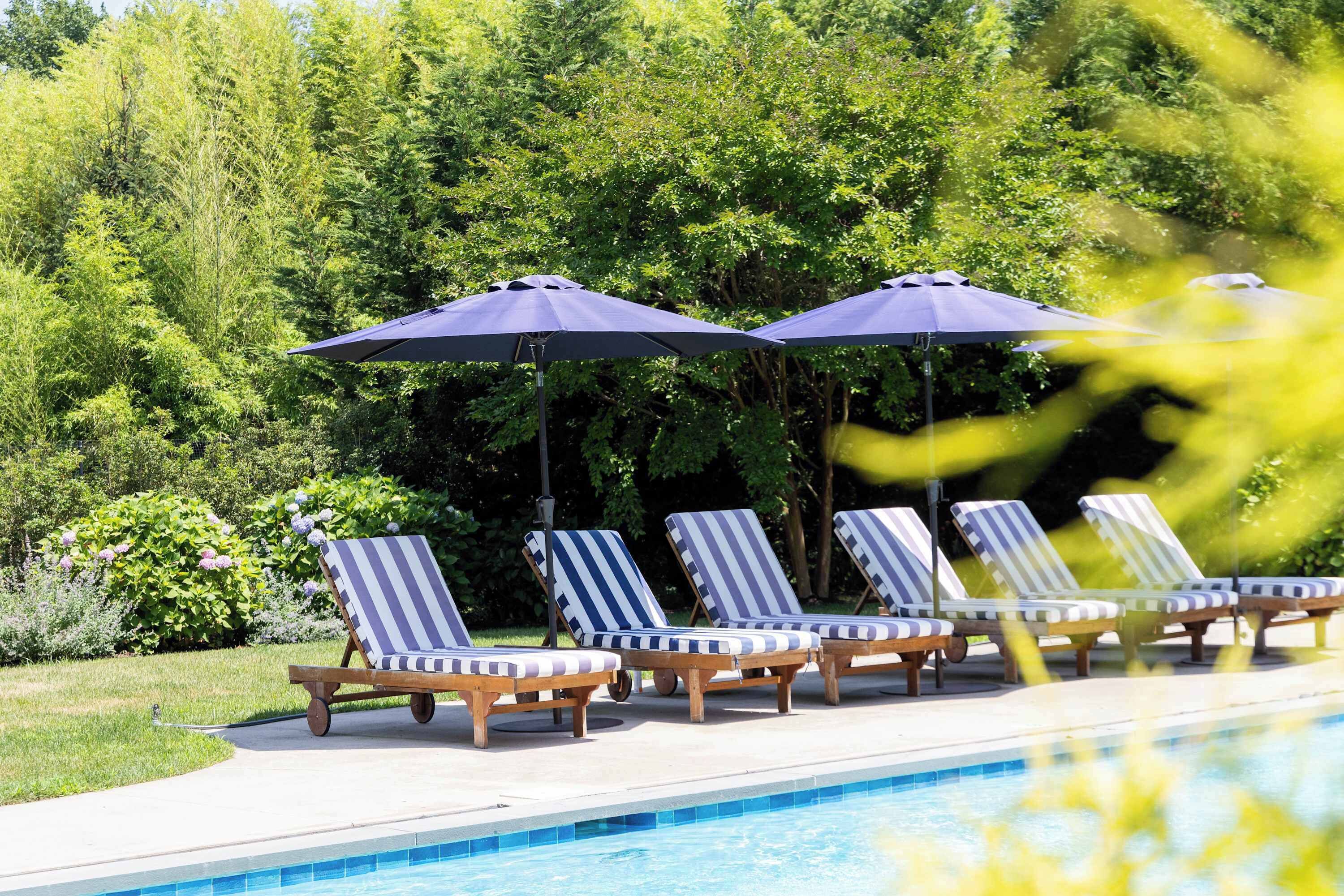 Un área junto a la piscina con sillones y sombrillas, rodeada de vegetación.