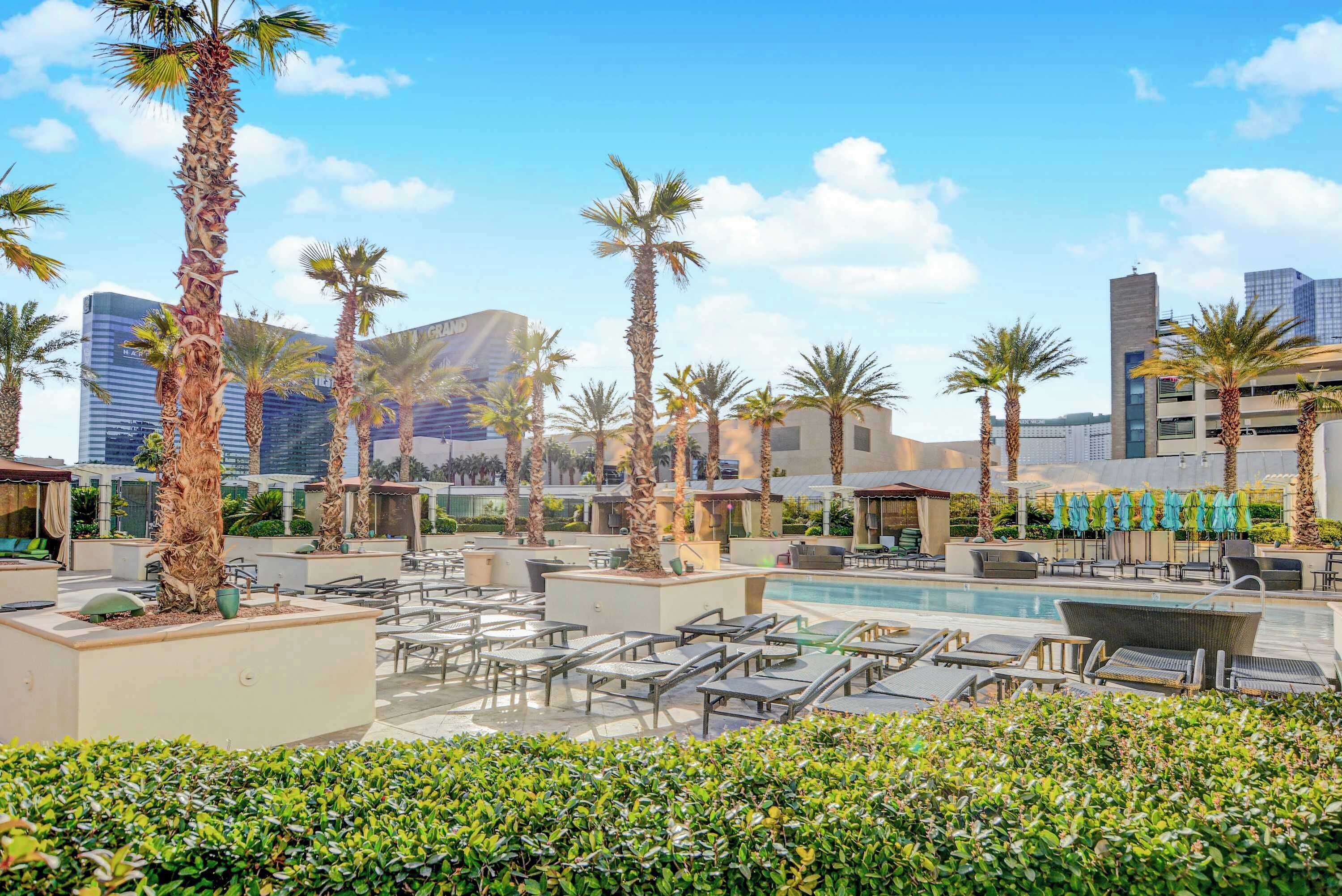 A rooftop pool area with lounge chairs, palm trees, and modern buildings in the background.