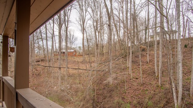 Une terrasse en bois offrant une vue sur une zone boisée et un bâtiment situé au loin.
