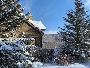 Interior - CR6 C6 Renovated Townhome a Short Walk From the Slopes Pool gym Passes (Bretton Woods)