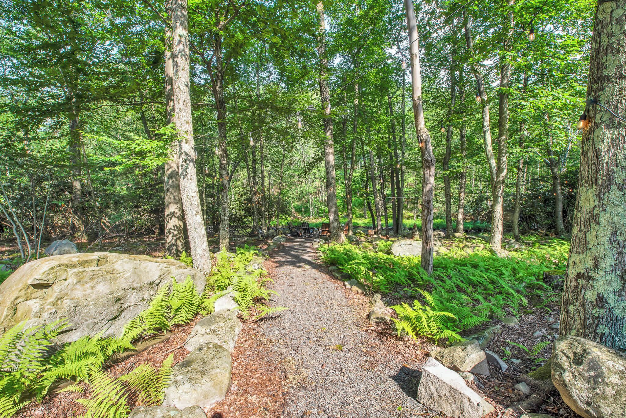 A forested area with a gravel path, large rocks, and ferns.