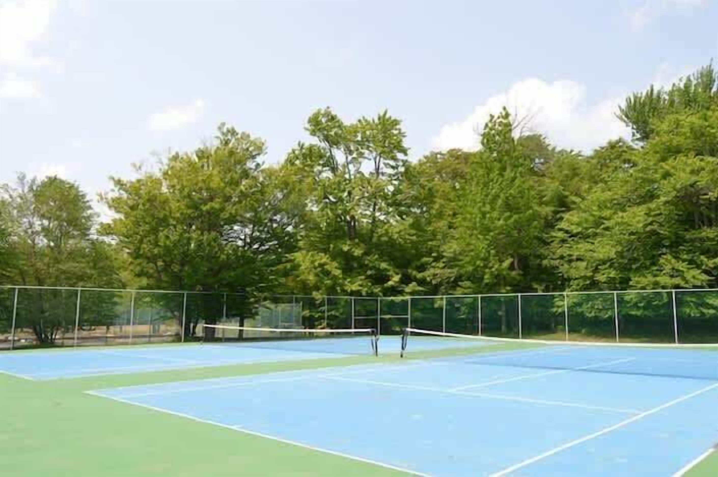 An outdoor tennis court surrounded by trees.