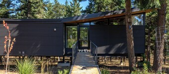 Happenstance Vineyards King Rooms
