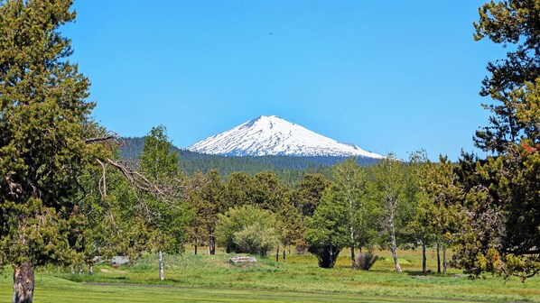 A mountain with a snow-capped peak, surrounded by a forested area with various trees and a clear sky.