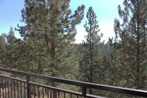 A forested area with a metal railing in the foreground. - 7th Mtn 923b (Bend)