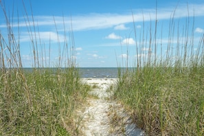 A sandy path leading to the beach, surrounded by tall grass. - Beachfront Without the Crowds—or the Premium Price (Alligator Point)
