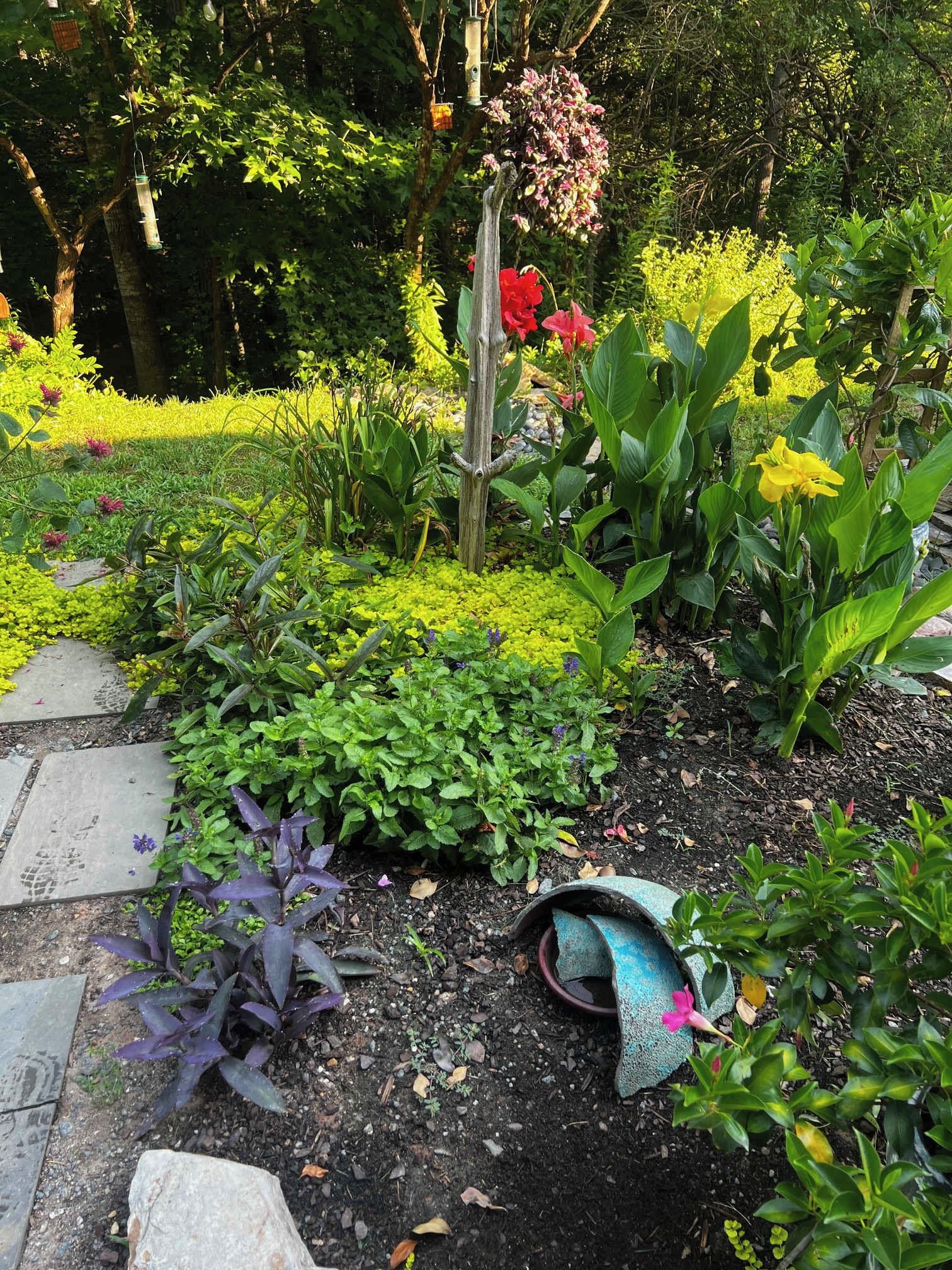 En have med forskellige planter og blomster, en træpæl og en fugleholdeplads.