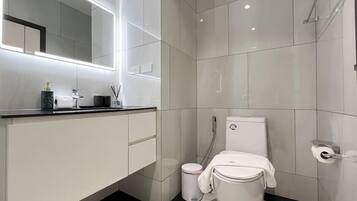 Ducha, secador de pelo y bidé